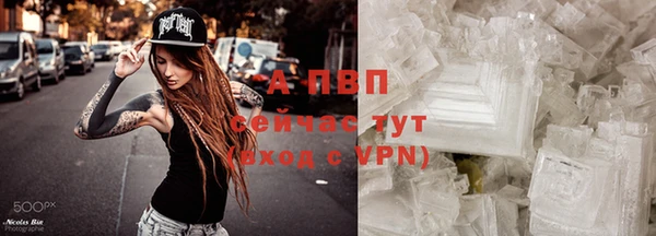 винт Надым