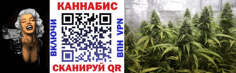 Марихуана конопля Симферополь
